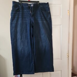 Lane Bryant Dark Blue Wide Leg Baggy Jeans Tag Taken Off And Washed Never Worn.
